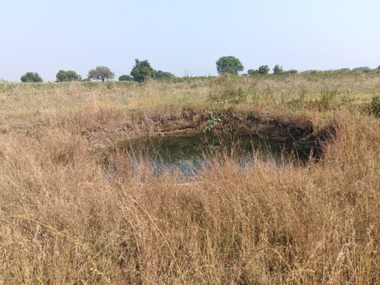 अजब… ऐकावं ते नवलच; ५० ब्रास मुरूम उत्खनन व वाहतुकीसाठी ३ दिवसांची परवानगी     तलाठी अहवालावरून ५० ब्रास मुरूम परवानगी विवादित;तहसील कर्मचाऱ्यांची भूमिका तपासण्याची गरज     सदरील मुरम उत्खनन वाहतुकीमध्ये तहसील कर्मचाऱ्यांची भागीदारी असल्याची जोरदार चर्चा