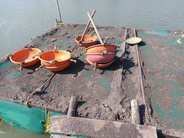 महसूलची गौडगाव येथे गोदावरी पात्रात कारवाई   खबऱ्यांना चकवा देत नायब तहसीलदार धोपे व पोलीस निरीक्षक लक्ष्मण केंद्रे यांनी थेट गोदावरी नदीपात्रात जाऊन तराफे केले नष्ट