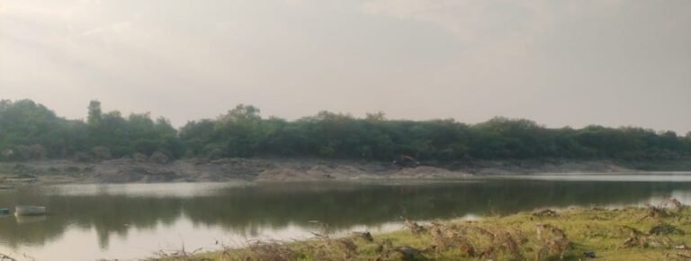 गोदावरी पात्रात नियमांची पायमल्ली; माजलगाव आणि परळीत वाळूचा अवैध उपसा जोमात; कोऱ्या पावतीचा ‘नवा’ गोरखधंदा